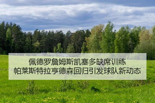 佩德罗詹姆斯凯塞多缺席训练 帕莱斯特拉亨德森回归引发球队新动态